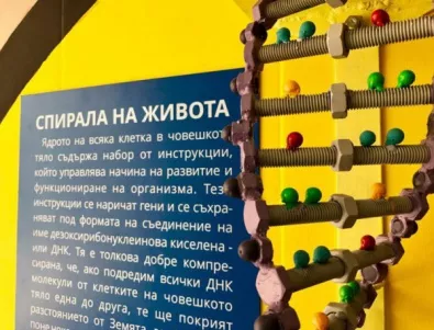 Уникален научен подлез заживява свой живот в градската среда на София
