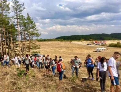 Още 1500 дка гори ще бъдат засадени в Североизточна България