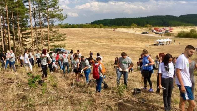 Още 1500 дка гори ще бъдат засадени в Североизточна България