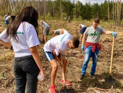 Доброволци засадиха първите 1000 дръвчета в инициативата 