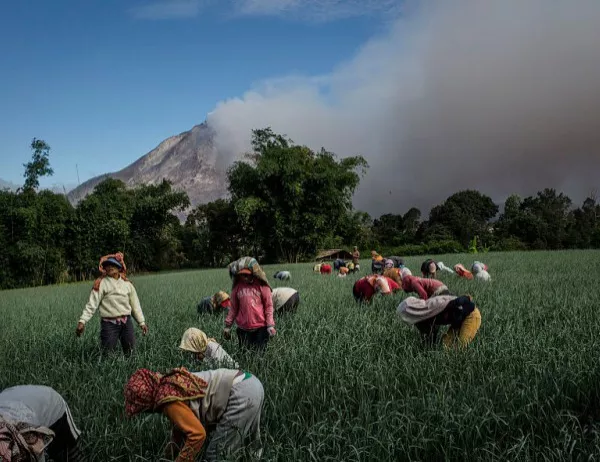 Два вулкана се активизираха в Индонезия