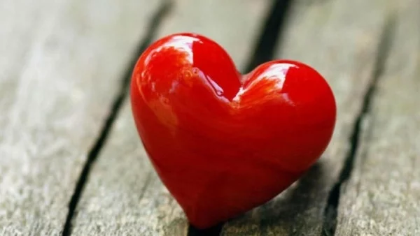 10 правила, които да спазваш, ако имаш връзка с Овен, Телец или Козирог