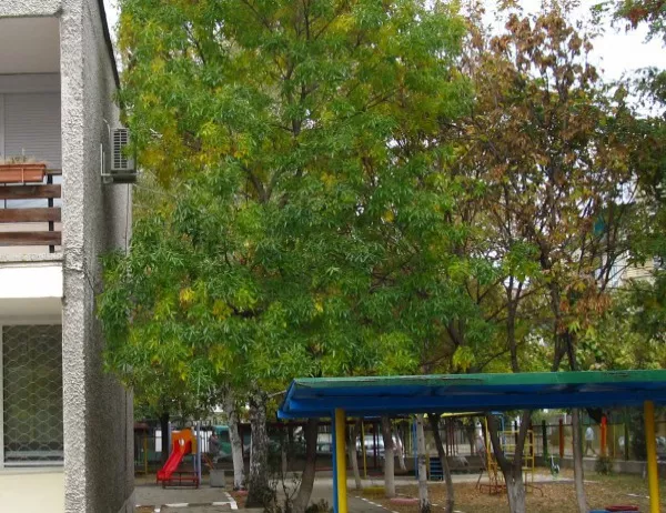 В училища и детски градини в Асенoвград поставят уреди за трудно подвижни деца