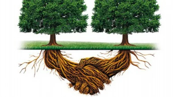 Притежават ли разум и сетива растенията?