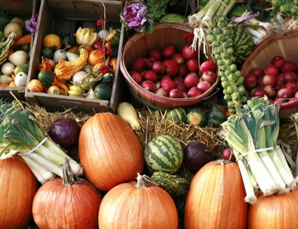 Значително повишение на цените на зеленчуците в Бургаско