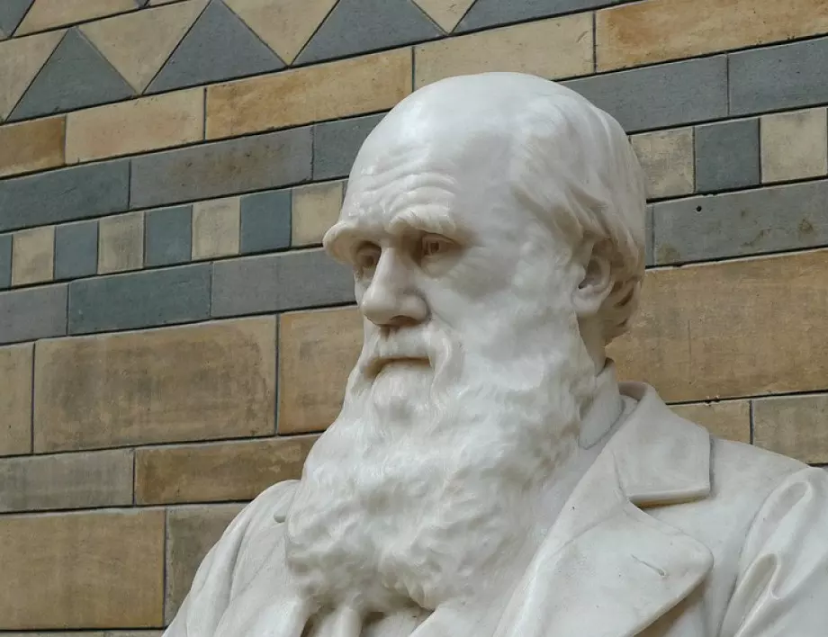 Бележници на Дарвин за милиони лири бяха откраднати