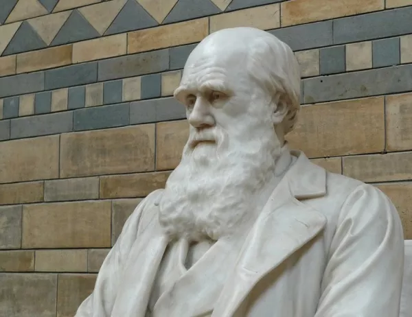 Ново изследване потвърждава теория на Дарвин за живота