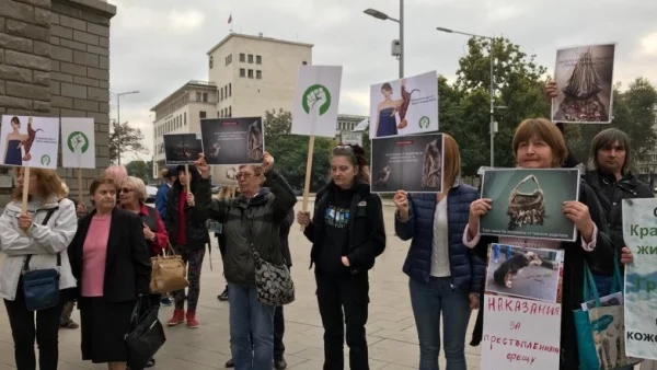 Веганите излизат на протест, този път заради филм