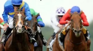 2017/10/05/0516677001507189138