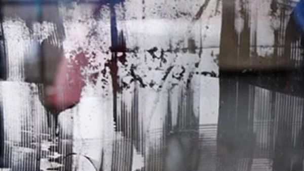 50 международно признати творци участват в първото издание на Конкордиа фестивал