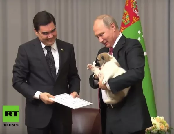 Президентът на Туркменистан изкопира Борисов с подарък куче за Путин (Видео)