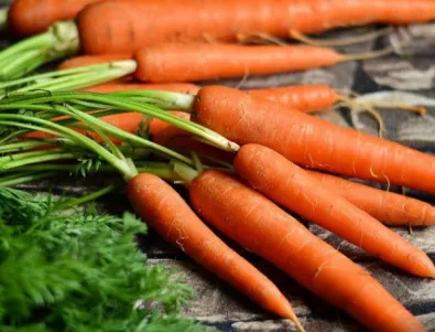 Вижте най-големия морков в света (ВИДЕО)