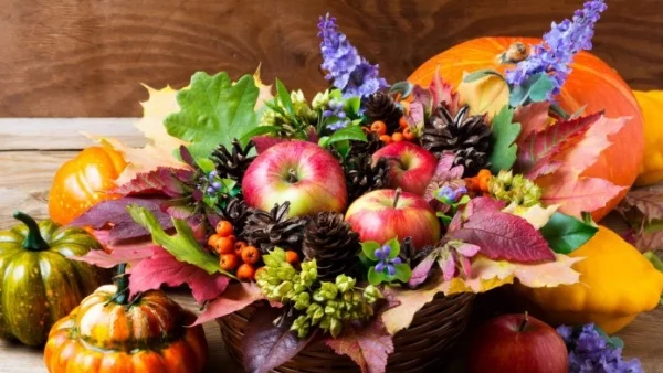 Прогноза за времето - 11 ноември (събота)