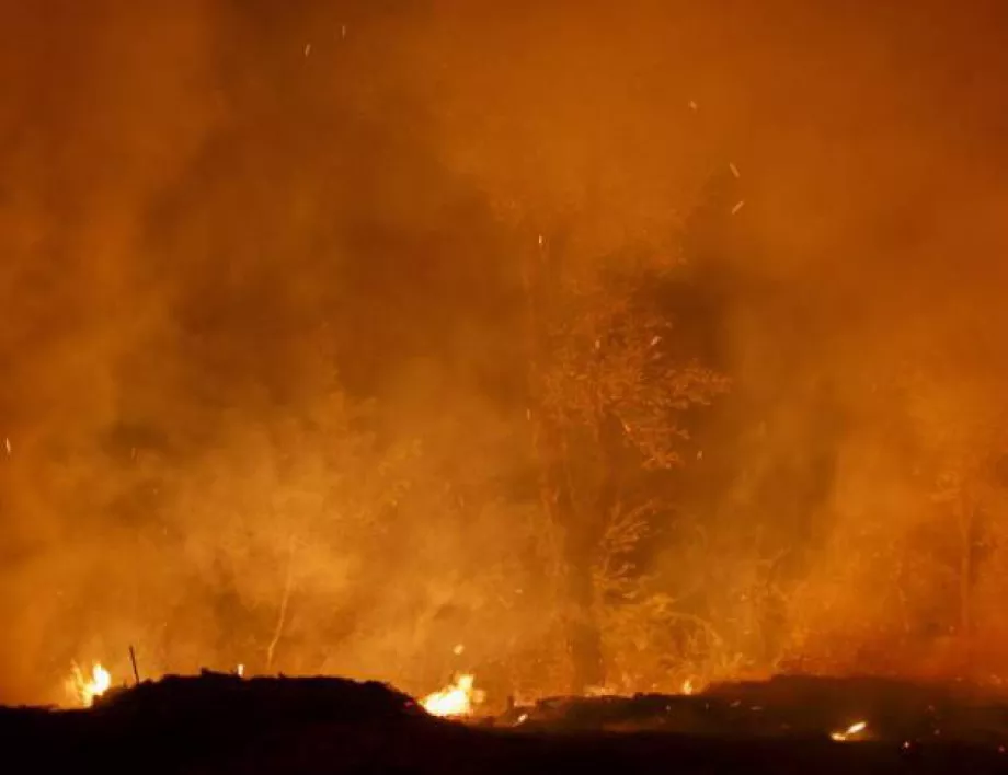 Гл. Комисар Николов: До довечера най-вероятно ще загасят пожара в Хасковско