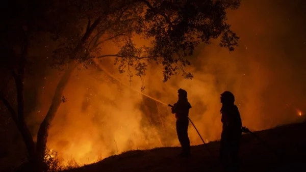 Престъпна небрежност на ЕРП е довела до огненото бедствие в Калифорния? (ВИДЕО)
