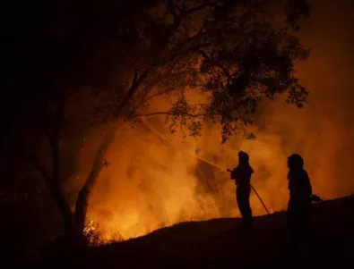 Пожарът на Евбея е ограничен далеч от застрашените села