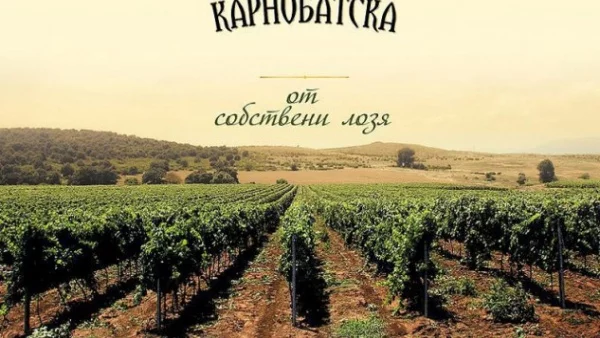 Триумф за България: Карнобатска отново е най-добрата ракия в света