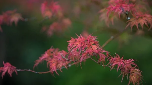 Прогноза за времето - 27 октомври (петък)