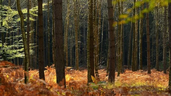 Прогноза за времето - 15 ноември (сряда)