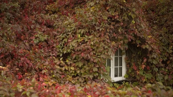 Прогноза за времето - 3 ноември (петък)