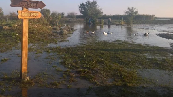 Седмицата в абсурди (23 - 27 октомври)