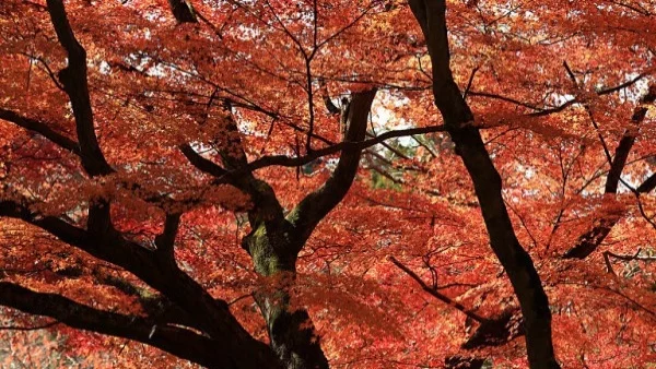 Прогноза за времето - 14 ноември (вторник)