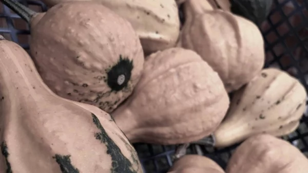 Прогноза за времето - 23 ноември (четвъртък)