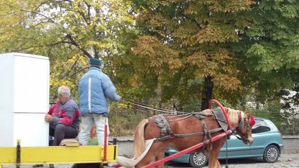 Глобиха 189 водачи на каруци в Асеновград, трима от тях - пияни