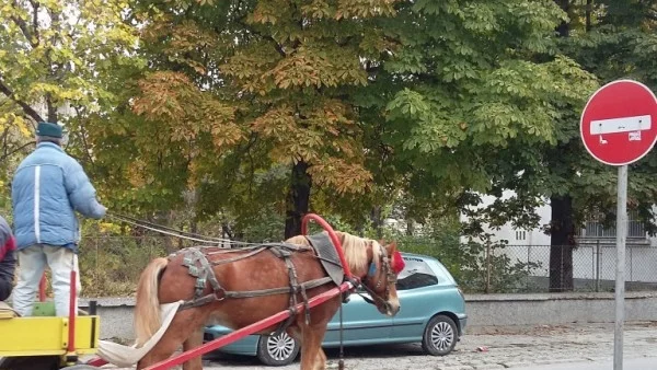 В Казанлък се вдигат на протест заради безконтролното движение на каруци