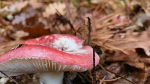 Прогноза за времето - 21 ноември (вторник)