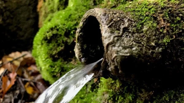 Прогноза за времето - 12 март (понеделник)