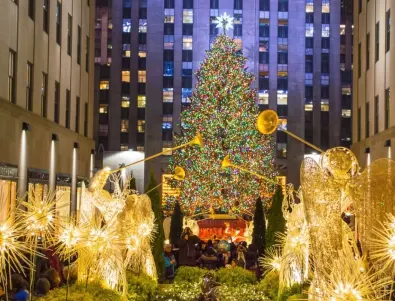 Издигнаха Коледното дърво в Манхатън (ВИДЕО)