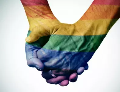 Във Франция са разрешени със закон еднополовите бракове