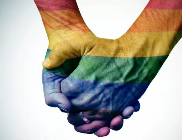 Във Франция са разрешени със закон еднополовите бракове