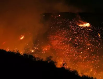 Извънредно положение в Калифорния заради бушуващите пожари