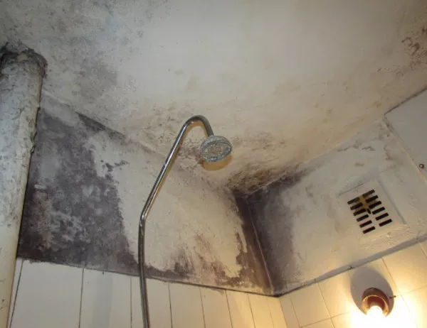 Общежитието за незрящи в Пловдив - рушащи се тавани и кофи вместо тоалетни