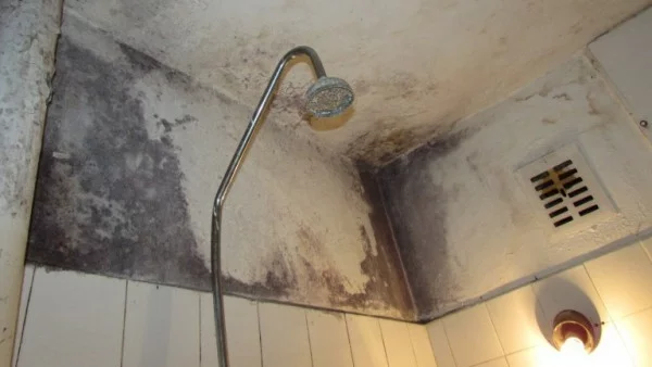 Общежитието за незрящи в Пловдив - рушащи се тавани и кофи вместо тоалетни