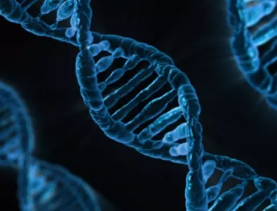 Откритие: Тайнствени ДНК вериги асимилират гени от различни организми 