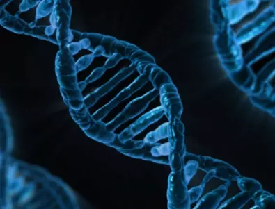 Създадоха първата изкуствена ДНК, способна да се възпроизвежда и развива