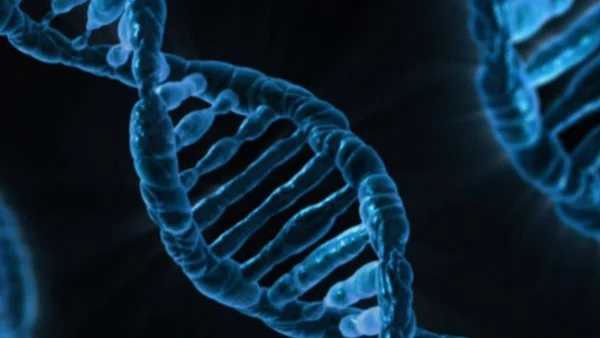 Рискът от рак е по-голям при високите хора