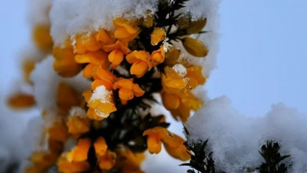 Прогноза за времето -  12 декември (вторник)