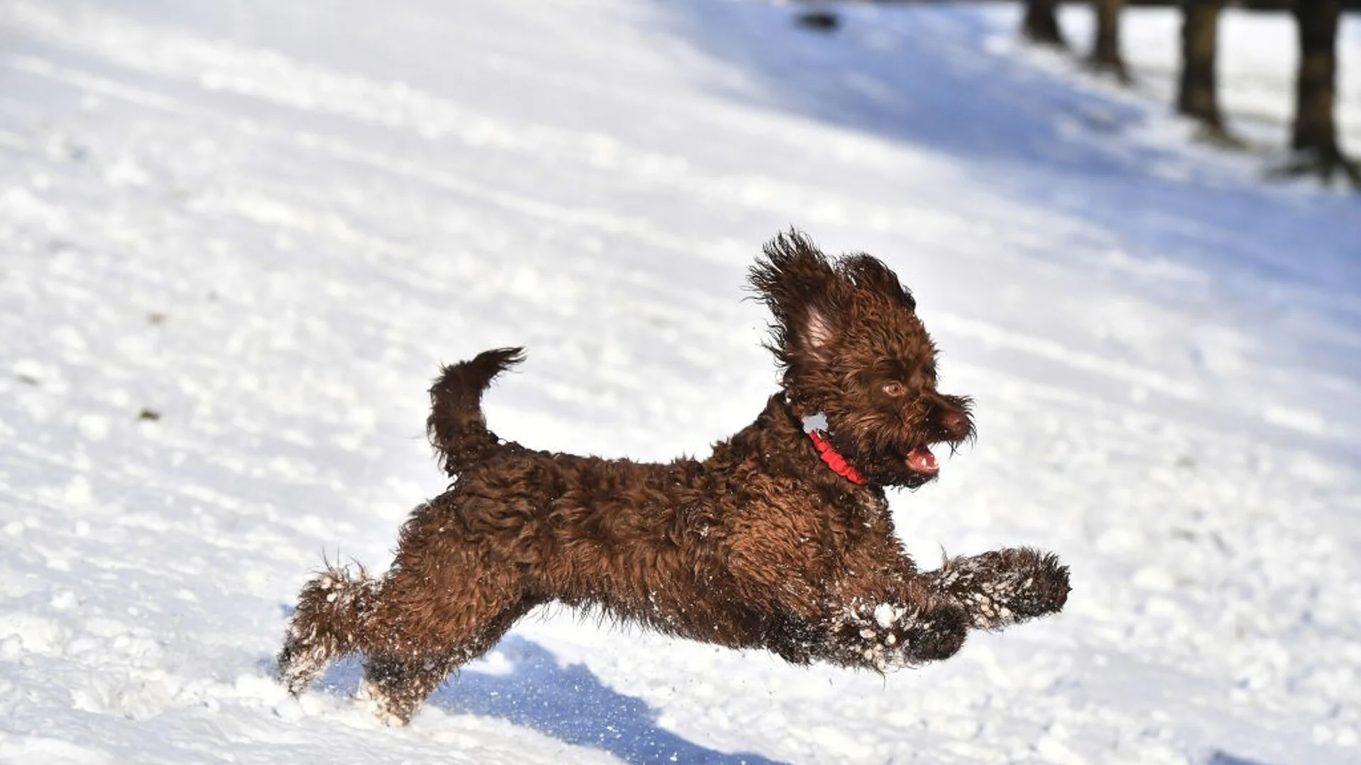 Прогноза за времето - 16 януари 2024 г. (вторник)