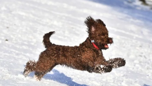 Времето до края на февруари