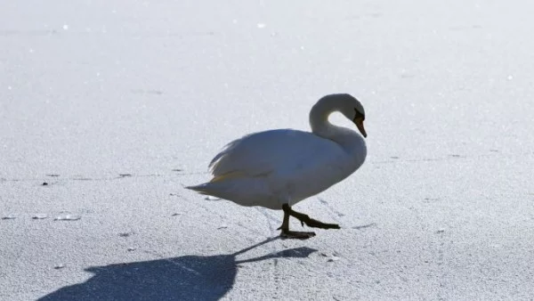 Прогноза за времето -  12 януари (петък)
