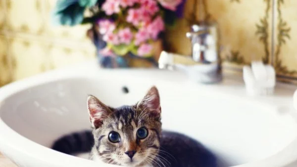 Част от "Зона Б-5" остава без вода