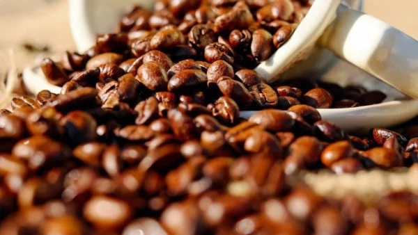 Какво трябва да знаем за кафето?