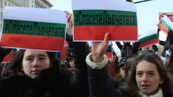 Протест пред МС спаси лъвчетата Терез и Масуд