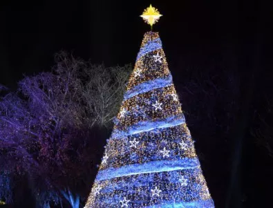 Специална коледна елха светва в Стара Загора на 3 декември