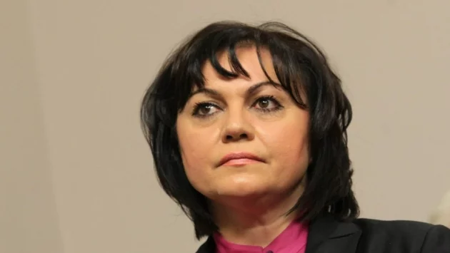 Погромът „Нинова“