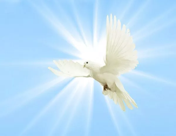 Бургас чества европредседателството с бели гълъби